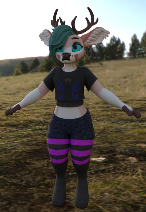 Cervus with clothes and materials