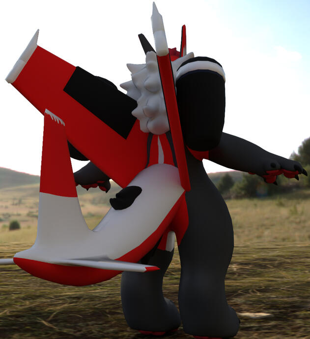 2nd view of the furry airplane